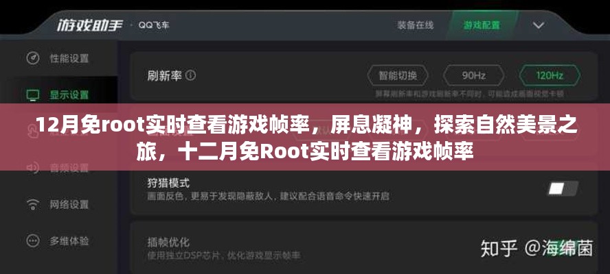 十二月免Root實時查看游戲幀率，屏息凝神，探索自然美景的游戲之旅