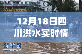 四川洪水退去后的寧靜美景，探索一次遠(yuǎn)離塵囂的心靈之旅（實(shí)時(shí)更新）