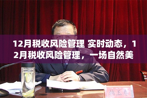 稅收風(fēng)險(xiǎn)管理實(shí)時(shí)動(dòng)態(tài)，自然美景下的心靈之旅與風(fēng)險(xiǎn)管理探索