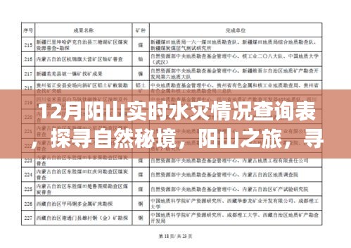 探尋自然秘境，陽山之旅遭遇水災(zāi)，實(shí)時(shí)情況查詢與內(nèi)心力量的尋找
