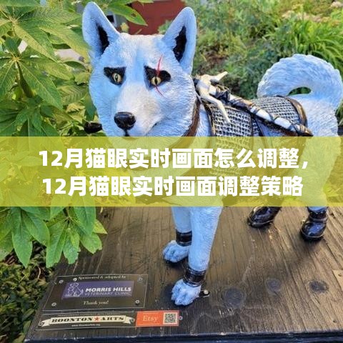 專業(yè)解析，12月貓眼實(shí)時(shí)畫面調(diào)整策略與實(shí)時(shí)調(diào)整技巧