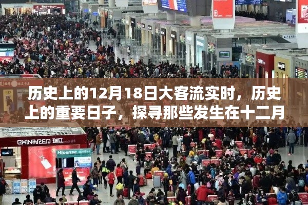 鳥(niǎo)驚魚(yú)駭 第2頁(yè)