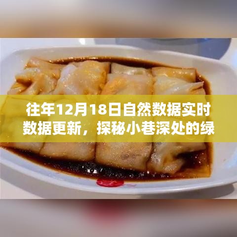 探秘綠色數(shù)據(jù)寶藏，特色小店與自然數(shù)據(jù)實(shí)時(shí)共舞，小巷深處的最新更新動(dòng)態(tài)