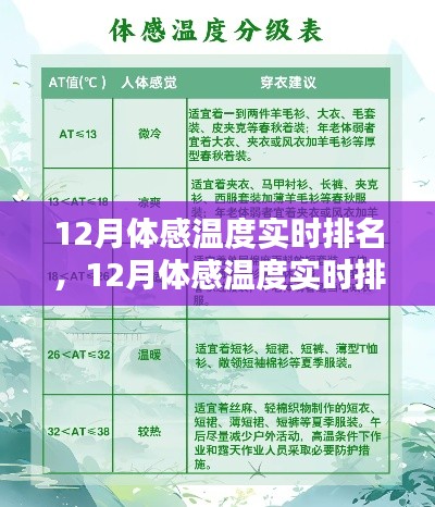 12月體感溫度實(shí)時(shí)排名查詢?nèi)ヂ?，從入門到精通的步驟指南