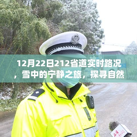 冬日雪中的寧?kù)o之旅，探尋自然美景，啟程于212省道的實(shí)時(shí)路況探索之旅