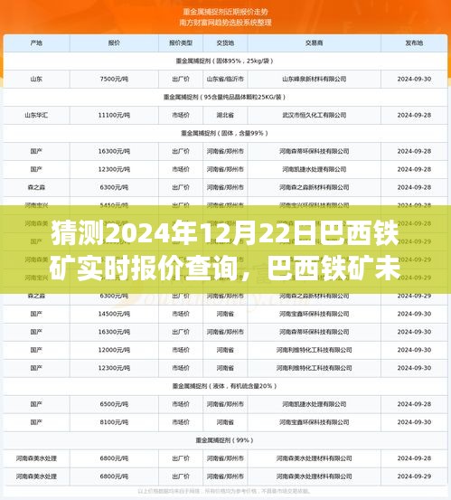 2024年12月22日巴西鐵礦實時報價預(yù)測與展望，未來走勢及市場分析