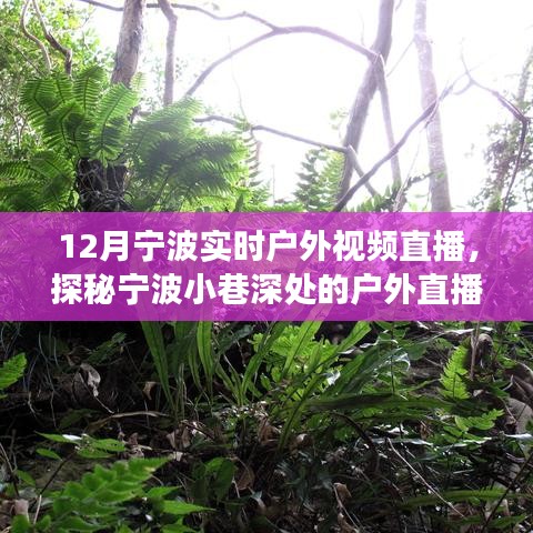 12月寧波戶外直播探秘，冬日風(fēng)情直播秀，小巷深處的秘境展示