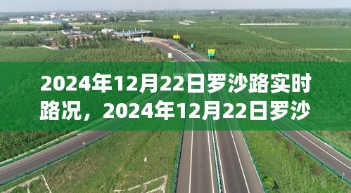 羅沙路實(shí)時(shí)路況導(dǎo)航指南，行車技巧從初學(xué)到進(jìn)階