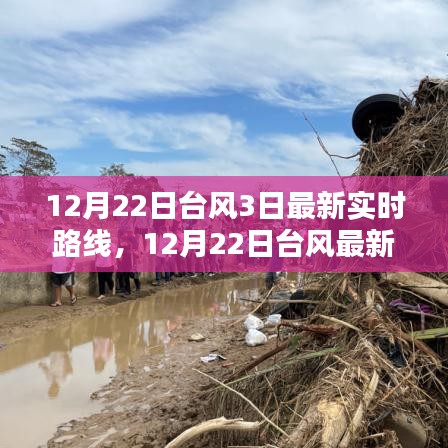 深度解析與案例分析，最新臺風實時路線動態(tài)及案例分析（截至12月22日）