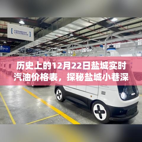 鹽城實時汽油價格歷史表，歷史與現(xiàn)實的交融之旅，探秘小巷深處的汽油價格傳奇