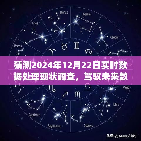 駕馭未來數(shù)據(jù)浪潮，展望實時數(shù)據(jù)處理技術(shù)的輝煌成就與勵志之旅——以2024年實時數(shù)據(jù)處理現(xiàn)狀調(diào)查為視角