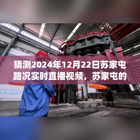 蘇家屯路況實時直播，探索神秘小巷的特色小店，預測未來路況之旅