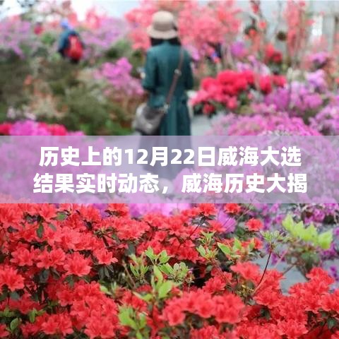 揭秘威海大選，歷史性的12月22日大選結(jié)果實時動態(tài)回顧與解析