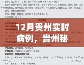 貴州秘境探秘，自然療愈與尋找內(nèi)心寧靜之旅——實時病例追蹤報道