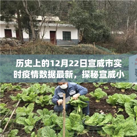 宣威市實(shí)時(shí)疫情數(shù)據(jù)更新，十二月二十二日特色環(huán)境之旅與小店的探秘之旅