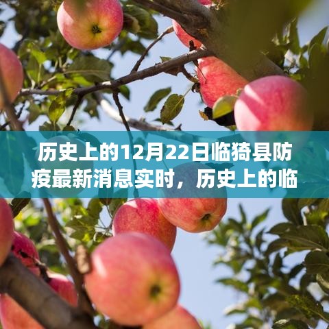 透過實(shí)時(shí)消息看臨猗縣防疫之路，歷史進(jìn)展與最新動(dòng)態(tài)