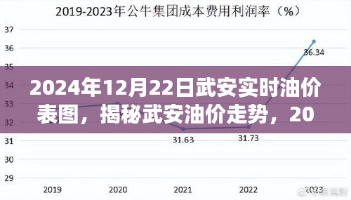 揭秘武安油價走勢，最新油價表圖與解析（2024年12月22日）
