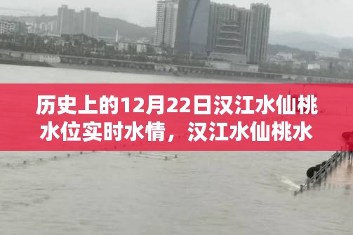 漢江水仙桃水位揭秘，探尋歷史特殊水情，實時掌握12月22日水位動態(tài)