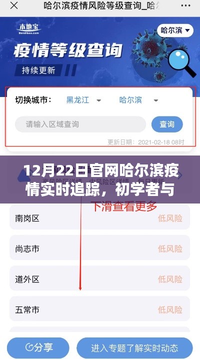 哈爾濱疫情實時追蹤指南，從初學者到進階用戶，一鍵掌握（以12月22日為例）