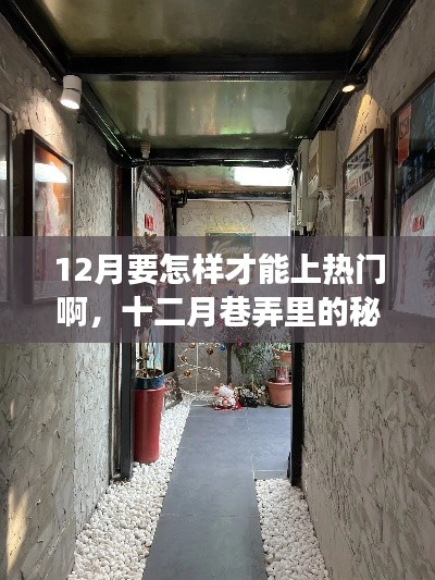 十二月巷弄探秘，特色小店點(diǎn)燃熱門探索之旅