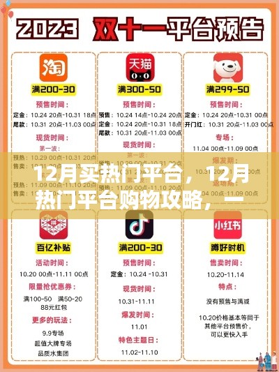 12月購物攻略，熱門平臺(tái)挑選與心儀商品購買指南