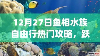 12月27日魚相水族心靈之旅，深藍(lán)海洋自由行攻略