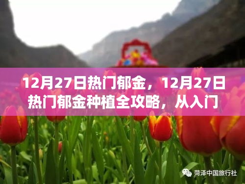 鳥(niǎo)革翬飛 第2頁(yè)