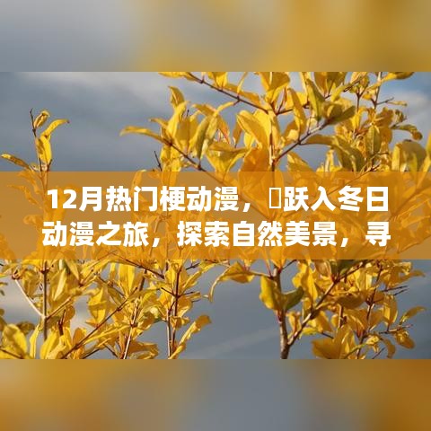 12月熱門梗動漫，躍入冬日探索之旅，自然美景與內心的奇跡