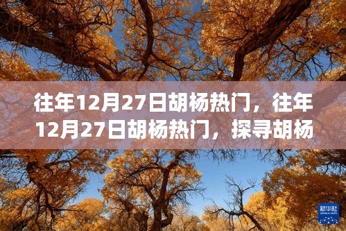 探尋胡楊魅力與熱門事件背后的故事，歷年12月27日胡楊之旅的熱門揭秘