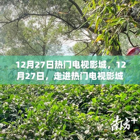 12月27日熱門電視影城，探尋變化中的學習之旅，播種自信的種子