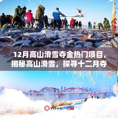揭秘高山滑雪，十二月奪金熱門項目的魅力與要點解析