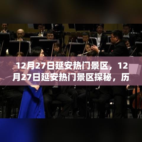 2024年12月 第13頁