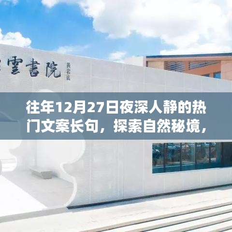 探索自然秘境，深夜星空下的心靈之旅，尋找內心的寧靜與寧靜的夜對話