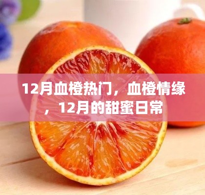 12月血橙情緣，甜蜜日常的浪漫篇章
