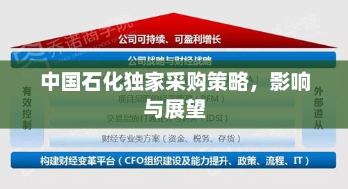 中國石化獨(dú)家采購策略，影響與展望