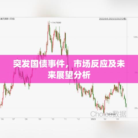 突發(fā)國債事件，市場反應(yīng)及未來展望分析