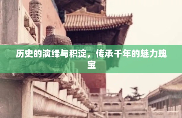 2024年12月