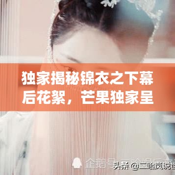 獨家揭秘錦衣之下幕后花絮，芒果獨家呈現(xiàn)，探尋神秘面紗！