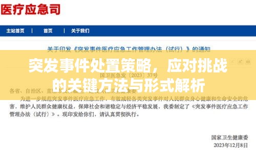 突發(fā)事件處置策略，應(yīng)對挑戰(zhàn)的關(guān)鍵方法與形式解析