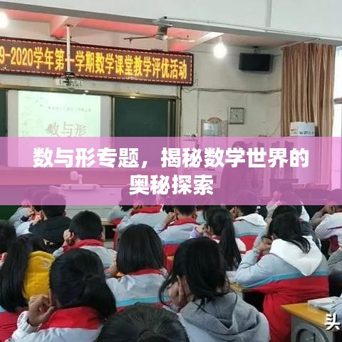 數(shù)與形專題，揭秘數(shù)學(xué)世界的奧秘探索
