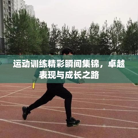 運(yùn)動訓(xùn)練精彩瞬間集錦，卓越表現(xiàn)與成長之路