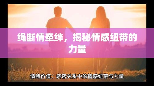 繩斷情牽絆，揭秘情感紐帶的力量