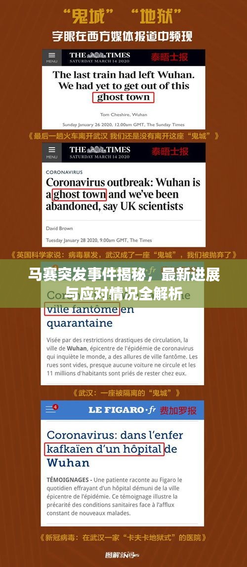 馬賽突發(fā)事件揭秘，最新進(jìn)展與應(yīng)對情況全解析