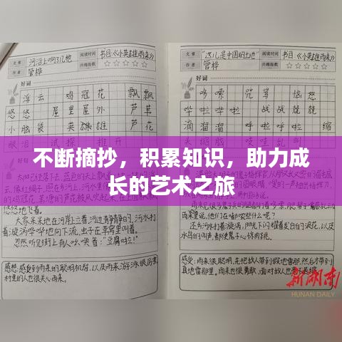 不斷摘抄，積累知識，助力成長的藝術(shù)之旅