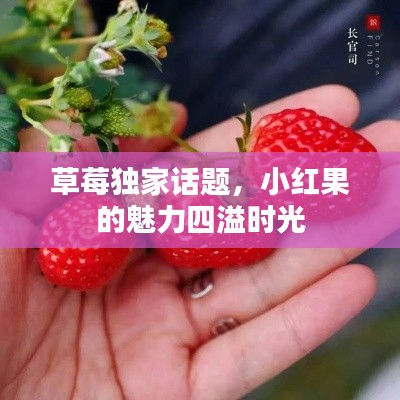 草莓獨(dú)家話題，小紅果的魅力四溢時(shí)光