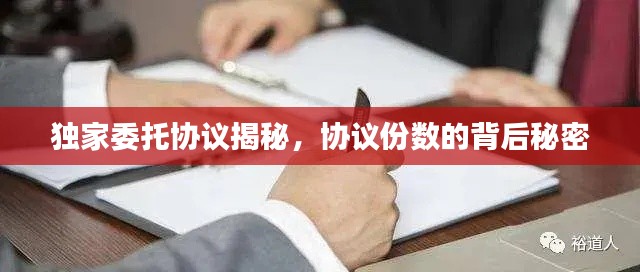 獨(dú)家委托協(xié)議揭秘，協(xié)議份數(shù)的背后秘密