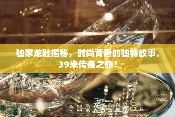 獨(dú)家龍鞋揭秘，時(shí)尚背后的獨(dú)特故事，39米傳奇之旅！