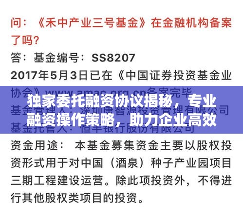 獨(dú)家委托融資協(xié)議揭秘，專(zhuān)業(yè)融資操作策略，助力企業(yè)高效籌資！