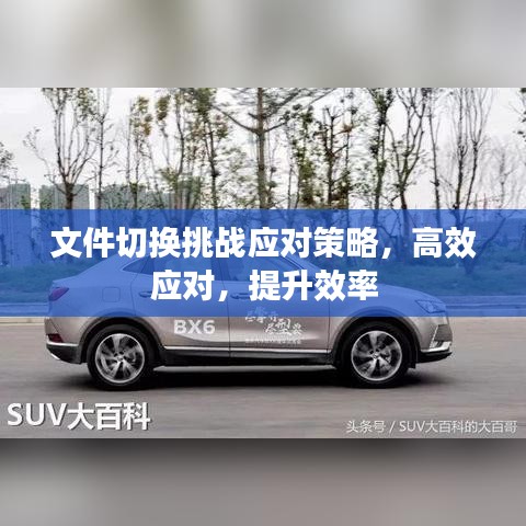 文件切換挑戰(zhàn)應(yīng)對(duì)策略，高效應(yīng)對(duì)，提升效率