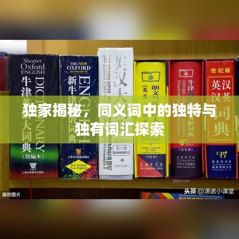 獨家揭秘，同義詞中的獨特與獨有詞匯探索